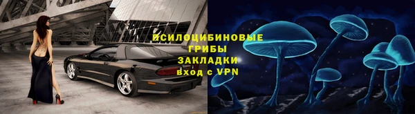 бошки Алексин