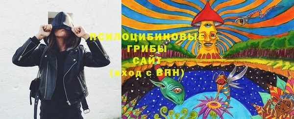 бошки Алексин