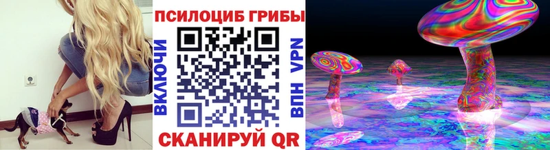 Псилоцибиновые грибы Psilocybe  Купить  Азнакаево 